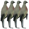 Lucky Duck Clip on Dove Decoys with Stake 4 Count