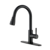 Kitchen Faucet with Pull Out Spraye