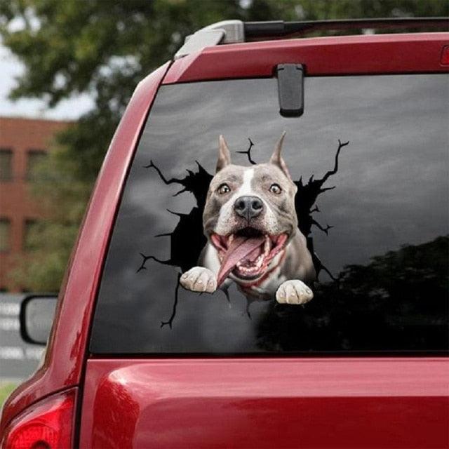 Funny Dog Head In The Crack Vinyl Car Funny Dog Head In The Crack Vinyl Car Stickers Decals Motorcycle Accessories Car-window Decorative Goods Broken Glass Sticker Car Stickers Decals Motorcycle Accessories Car-window Decorative Goods Pvc Car Sticker