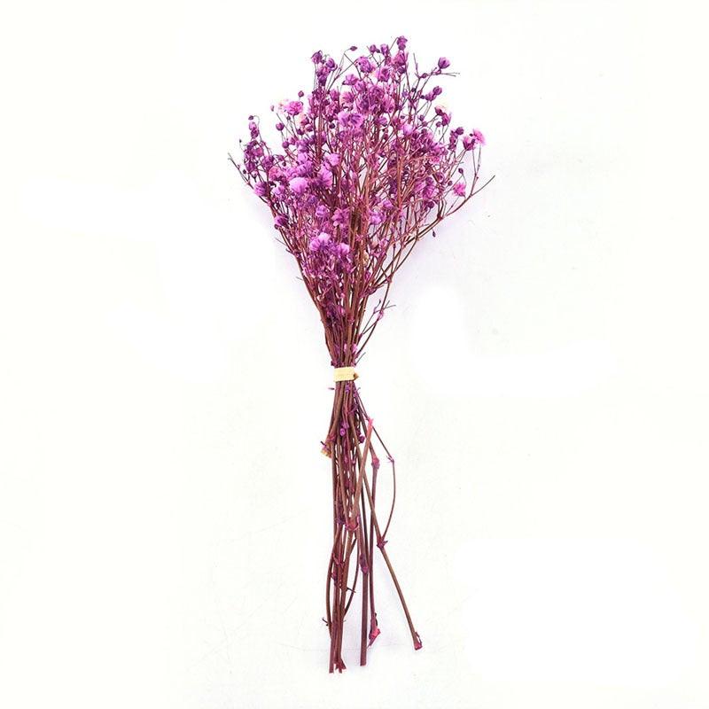 Natural Gypsophila Dried Flowers Mini Babysbreath Flower Preserve Floral  Decor Bouquet Wedding Party Home Backdrop Decor 12cm