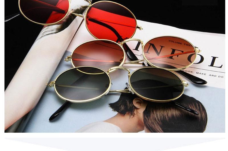 Oval Sunglasses Vintage Retro Sunglasses Designer Glasses for Women Men Oval Shape Sunglasses For Women/Men  Popular Luxury Round Shape  Sunglasses