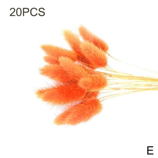 Real Dried Grass Reed Flower Natural Dry Small Bulrush Bouquet Pampas Reeds Home Decoration Wedding Decor Pompass Grass Branches for Vase Artificial Grass Room Décor Wedding Decorations
