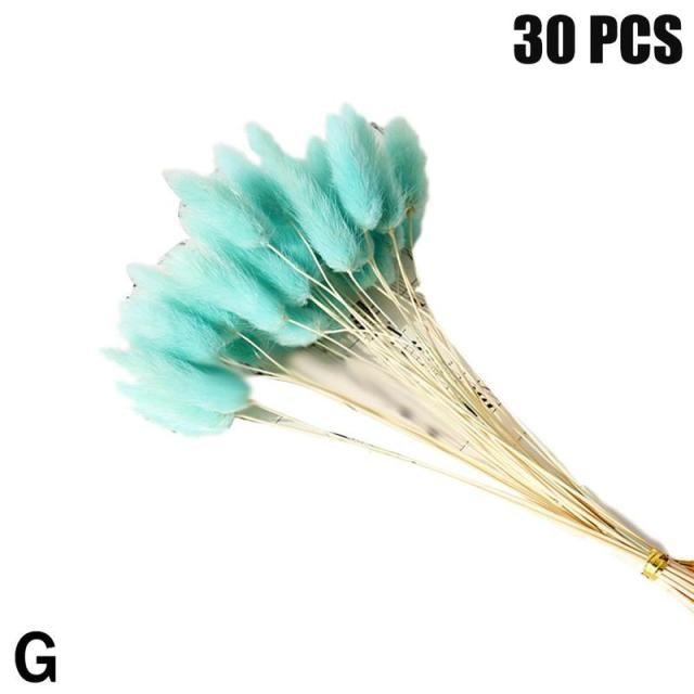 Real Dried Grass Reed Flower Natural Dry Small Bulrush Bouquet Pampas Reeds Home Decoration Wedding Decor Pompass Grass Branches for Vase Artificial Grass Room Décor Wedding Decorations
