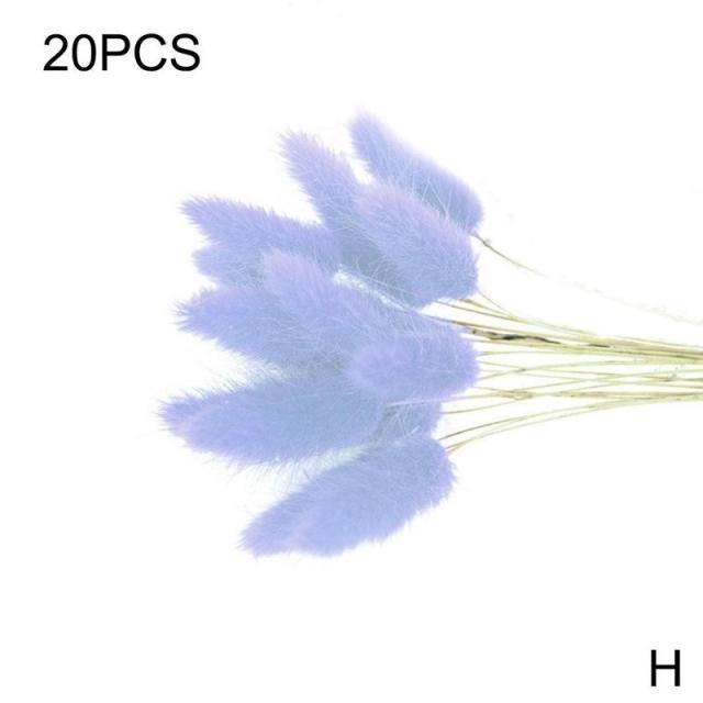 Real Dried Grass Reed Flower Natural Dry Small Bulrush Bouquet Pampas Reeds Home Decoration Wedding Decor Pompass Grass Branches for Vase Artificial Grass Room Décor Wedding Decorations