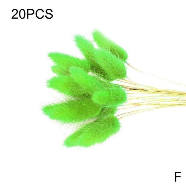Real Dried Grass Reed Flower Natural Dry Small Bulrush Bouquet Pampas Reeds Home Decoration Wedding Decor Pompass Grass Branches for Vase Artificial Grass Room Décor Wedding Decorations