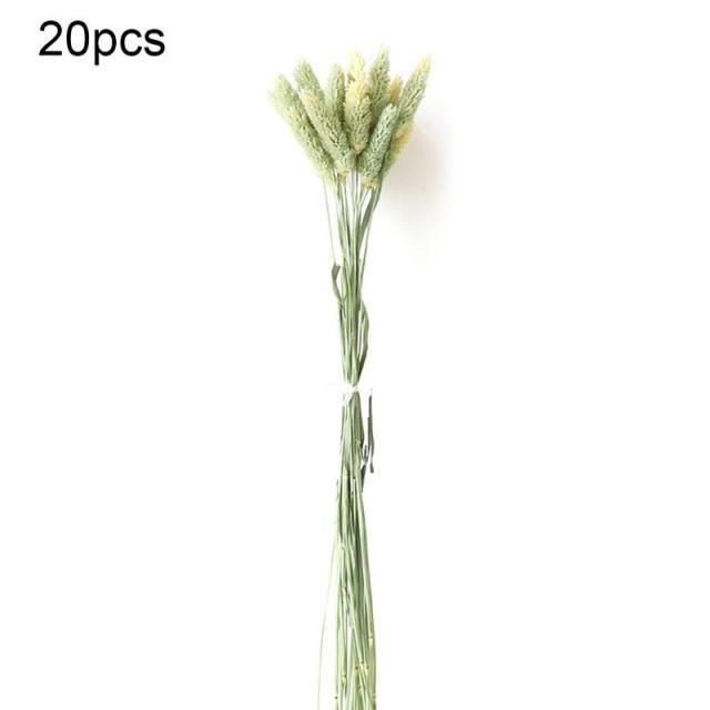 Real Dried Grass Reed Flower Natural Dry Small Bulrush Bouquet Pampas Reeds Home Decoration Wedding Decor Pompass Grass Branches for Vase Artificial Grass Room Décor Wedding Decorations