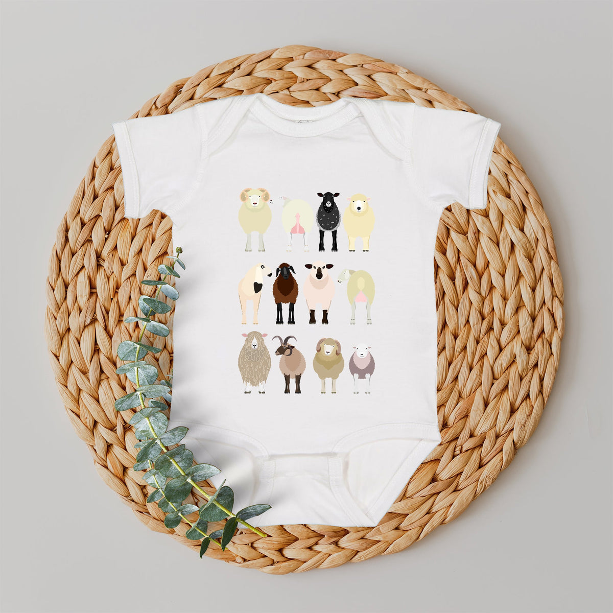 Sheep Lovers Farm Animal Illustration Breeds Featuring Playful Lamb Portraits For Kids Youth Comfort Colors Tee